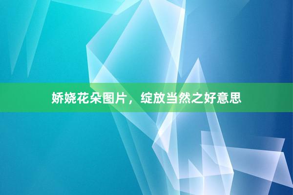 娇娆花朵图片，绽放当然之好意思