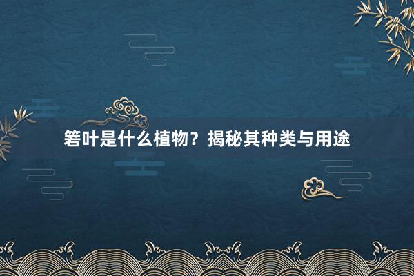 箬叶是什么植物？揭秘其种类与用途