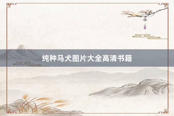 纯种马犬图片大全高清书籍