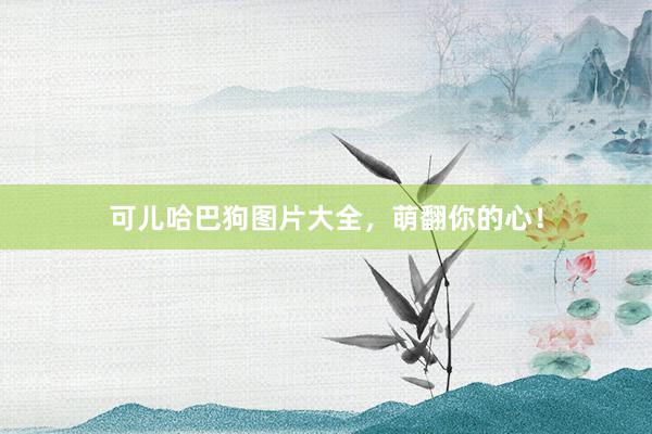 可儿哈巴狗图片大全，萌翻你的心！