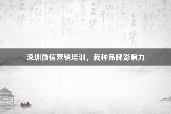 深圳微信营销培训，栽种品牌影响力
